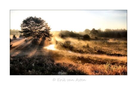 kunst uit de natuur