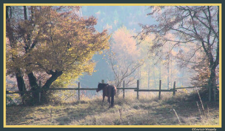 Herfst in Sauerland