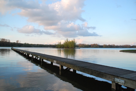 Rust in het Kralingse bos