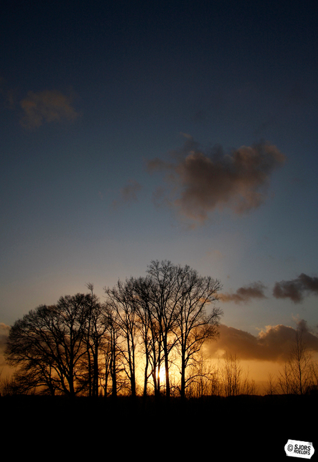 Achter de bomen