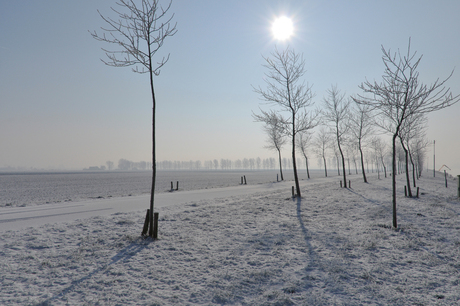 winterzonnetje