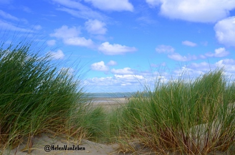 Strand van Renesse