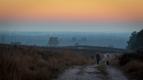 Avondwandeling door de Sallandse heuvels