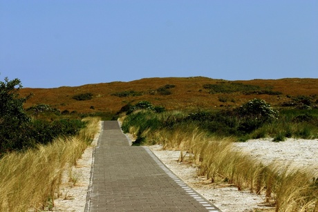 Duinen van Texel