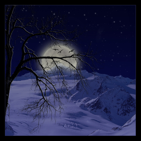 Snowy Mountain by Night