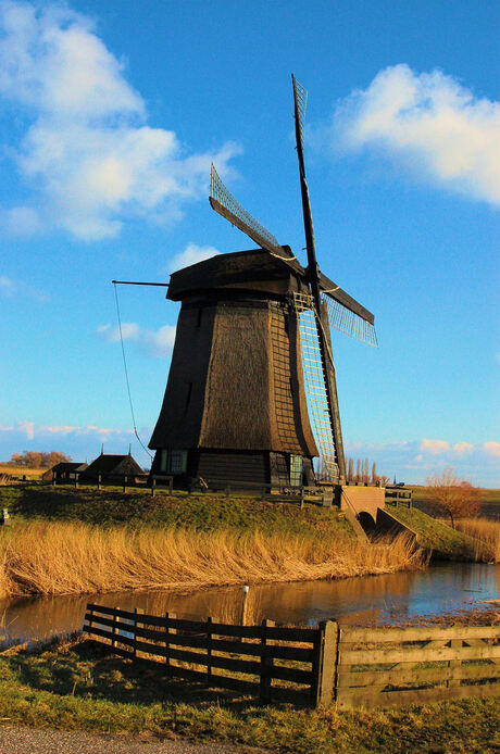 Molen