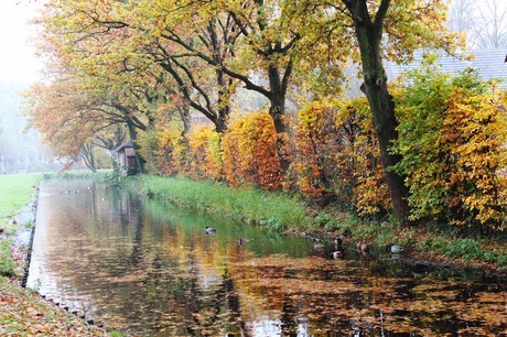 Herfst in Brabant