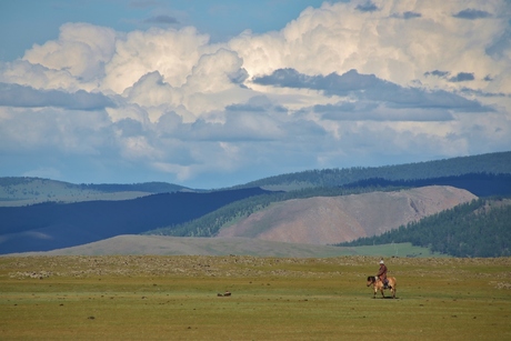 Ruiter in de Orkhonvallei, Mongolië