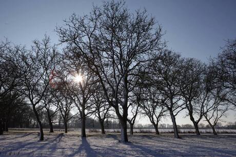 Winter in Nederland.jpg