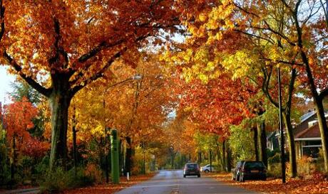 herfst kleuren