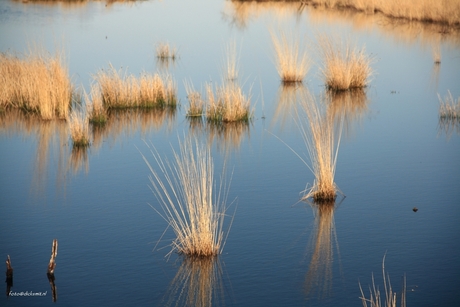 Egbertsdijkvenen