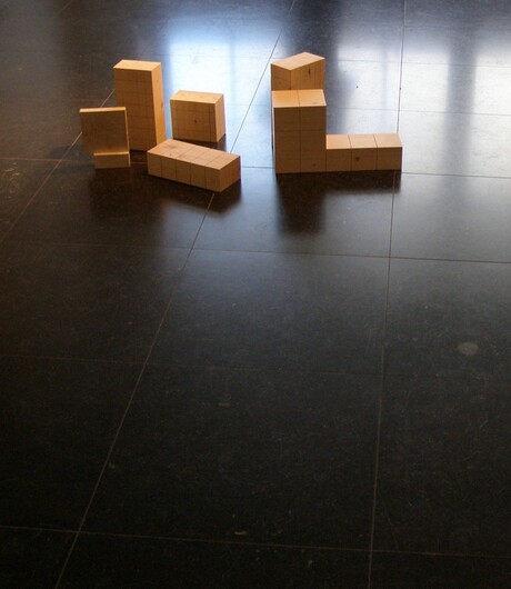 KUNST IN DE WIJK 10-01-2014