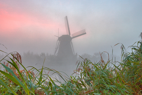 Kinderdijk 02