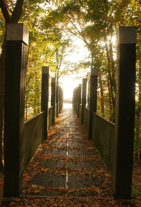 ineens buiten de gebaande paden........