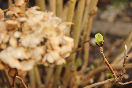 Laat de lente maar komen! En het zonnetje.....