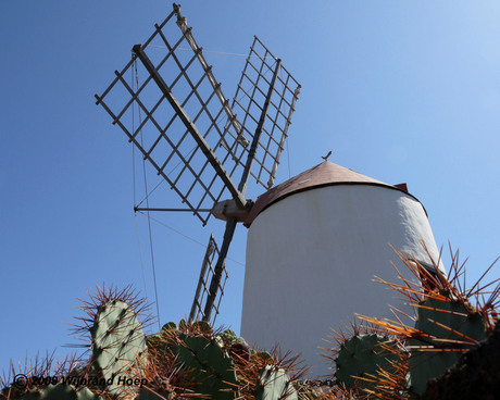 molen op Lanzarote