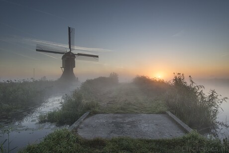 Hollandse ochtend