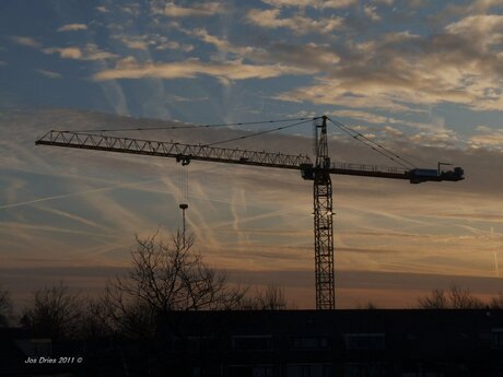 Vreemde vogel boven Naaldwijk