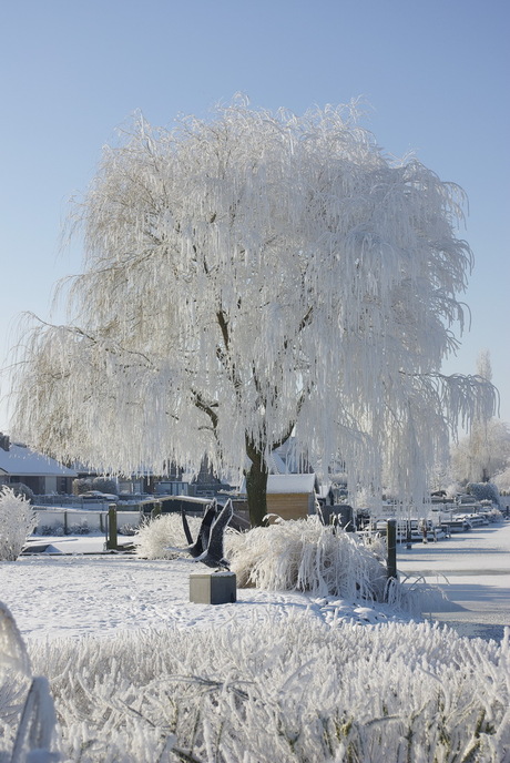 sneeuw kleurt de natuur