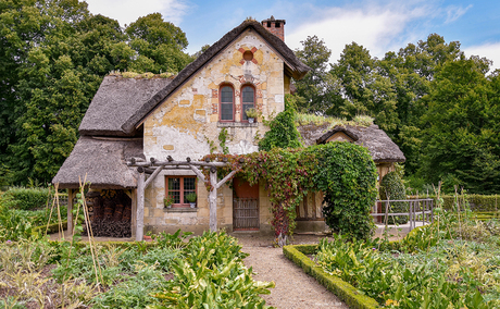 A_Cottage_garden