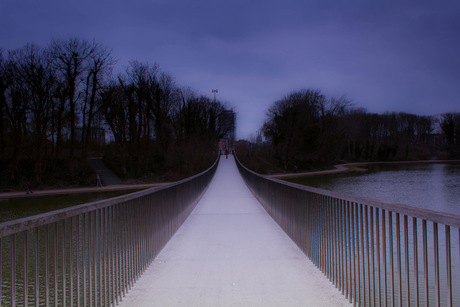 De brug in het park