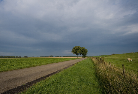 Groninger lanschap