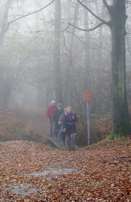 wandelaars in de mist