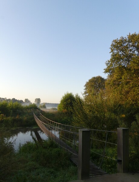 Ochtend zon