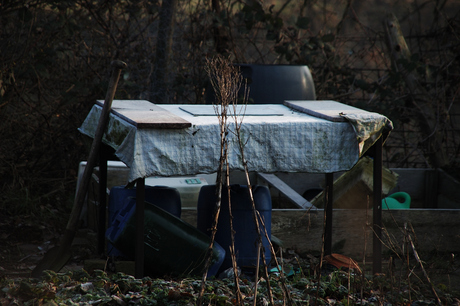 stilleven in de tuin