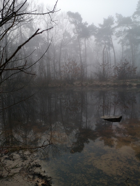 Mist kleine poel