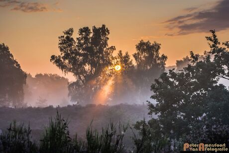 2017-08-16 Posbank Zonsopkomst-06