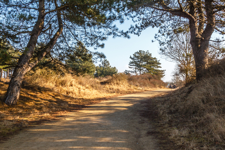 Wandeling in de duinen