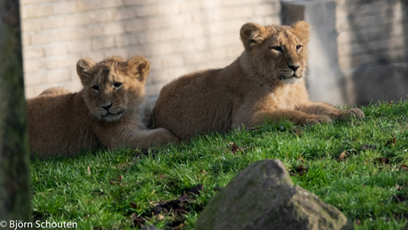 Samen in de zon