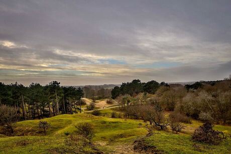 18-01-29 Amsterdamse Waterleidingsduinen Zandvoort - Beste (12)