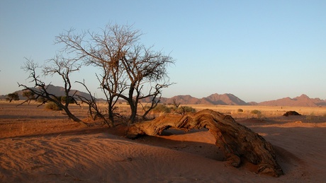 Namibië - Sesriem