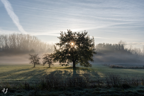 Mistige zonsopgang