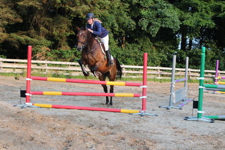 Springen met het paard