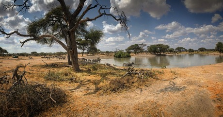 Tarangire, Tanzania