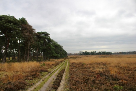 Hoge Veluwe