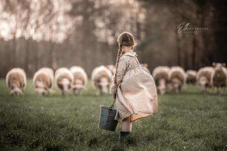 op de boerderij