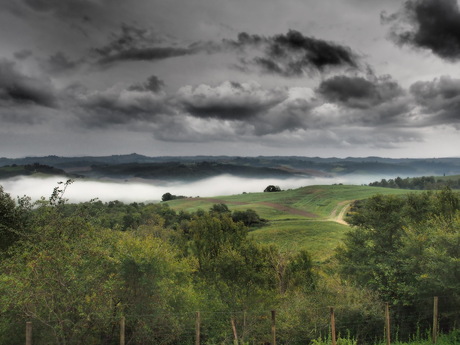 Toscane oktober 2015 OM-D E-M1 12-42 F 2.8