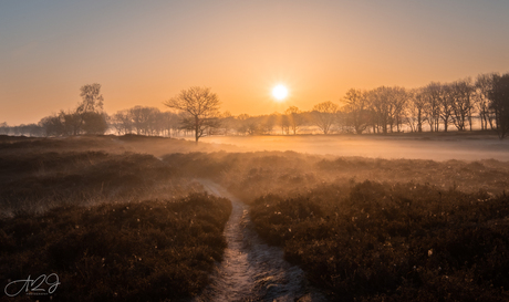 Drents Golden Hour