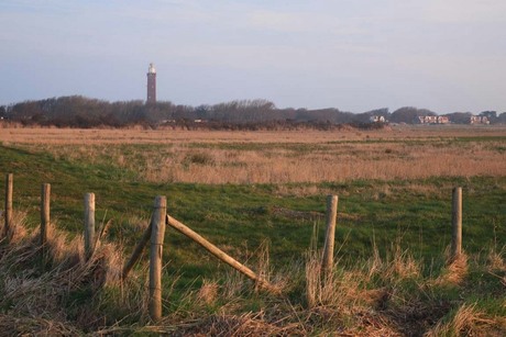 zicht op de vuurtoren van Ouddorp met op voorgrond polder 't Volgerland