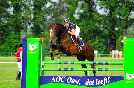 Paardensport