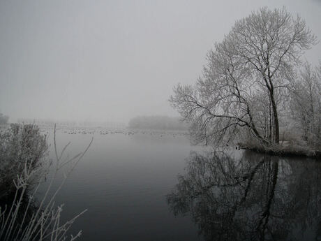 Winterlandschap