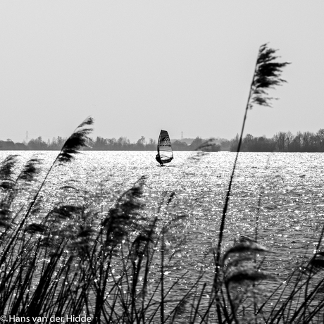 Nieuwkoopse plas