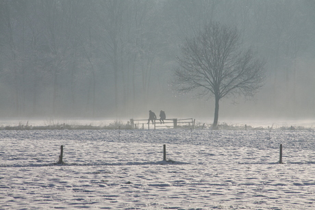 wintergevoel