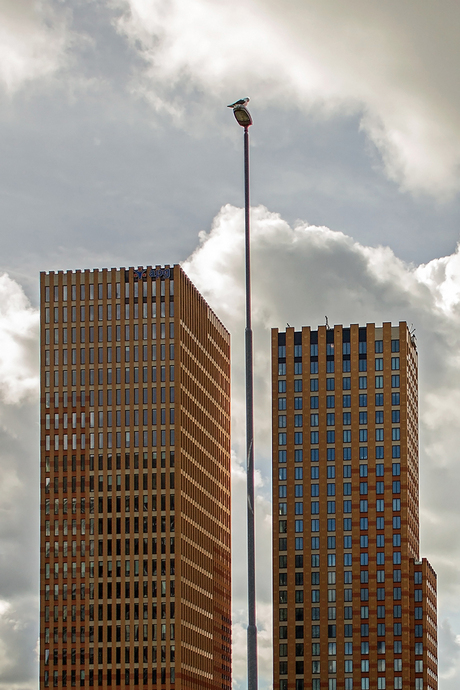 Zuidas 56