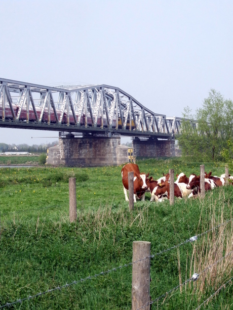 Hedelse spoorbrug