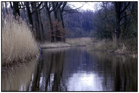 Dommel